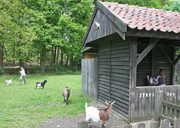 Hotel Land-gut Ritter